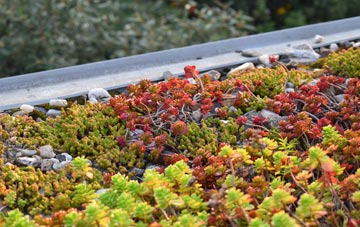 the cost of Macfinn Lower green roof installation