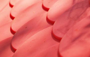 Macfinn Lower plastic roof costs