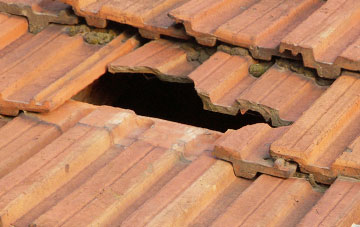 roof repair Macfinn Lower, Ballymoney