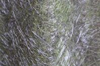 Macfinn Lower fibreglass roof work