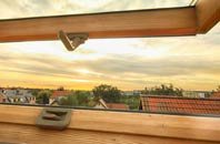 rated Macfinn Lower roof window companies