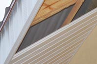 rated Macfinn Lower soffit repair companies
